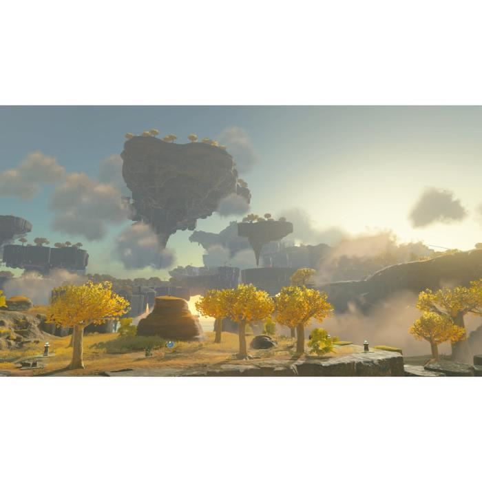 The Legend of Zelda: Tears of the Kingdom - Standard edition | Nintendo Switch game