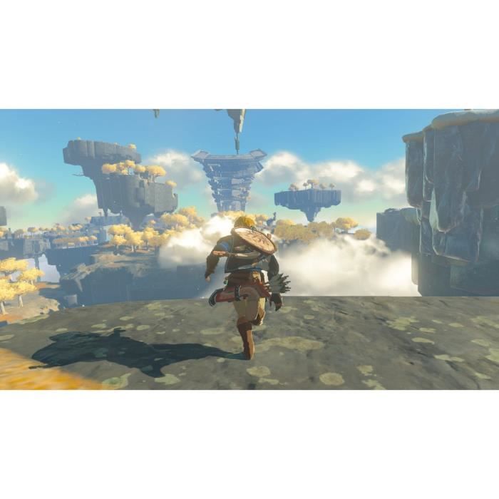The Legend of Zelda: Tears of the Kingdom - Standard edition | Nintendo Switch game