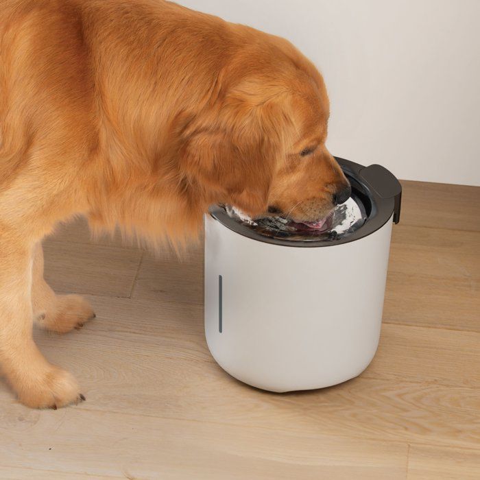 ZEU0022517964217